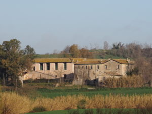 Casale Pamphilj-Testa di Lepre di sotto.