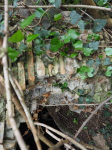 Roma- Municipio XIII-Tenuta dell’ACQUAFREDDA:” tomba etrusca del VII secolo a.C.”