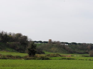 Torre della BOTTACCIA