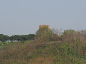 Torre della BOTTACCIA