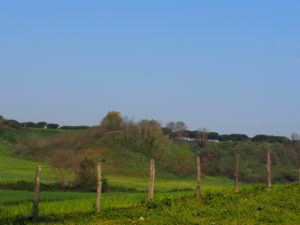 Torre della BOTTACCIA