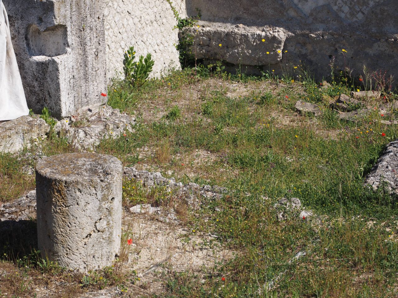 Castel di Guido- - 22 aprile 2017-GAR- Sessione di scavo Villa Romana delle Colonnacce