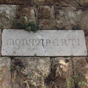 Sito della Battaglia di Montaperti 