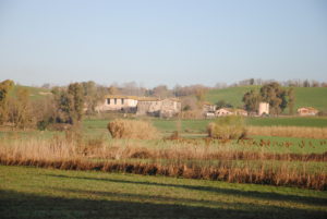 TESTA di LEPRE di SOTTO-CASALE PAMPHILJ