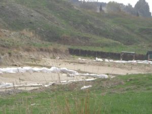 Malagrotta- anno 2008-Scavi Archeologici a ridosso della discarica più grande d’Europa.