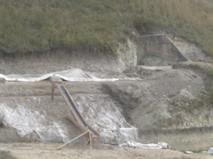 Malagrotta- anno 2008-Scavi Archeologici a ridosso della discarica più grande d’Europa.
