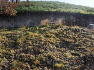 Malagrotta- Roma Municipio XI- Foto 16 febbraio 2017-Scavi Archeologici abbandonati a ridosso della discarica più grande d’Europa.