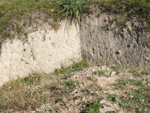 Malagrotta- Roma Municipio XI- Foto 16 febbraio 2017-Scavi Archeologici abbandonati a ridosso della discarica più grande d’Europa.
