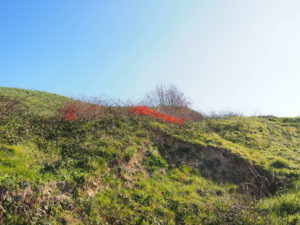 Malagrotta- Roma Municipio XI- Foto 16 febbraio 2017-Scavi Archeologici abbandonati a ridosso della discarica più grande d’Europa.
