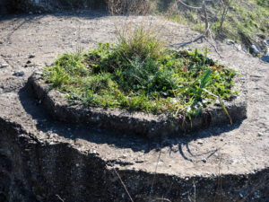 Malagrotta- Roma Municipio XI- Foto 16 febbraio 2017-Scavi Archeologici abbandonati a ridosso della discarica più grande d’Europa.