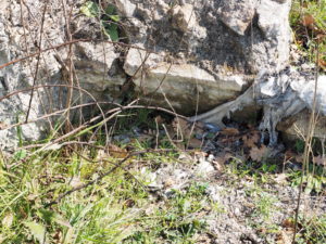 Malagrotta- Roma Municipio XI- Foto 16 febbraio 2017-Scavi Archeologici abbandonati a ridosso della discarica più grande d’Europa.