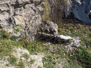 Malagrotta- Roma Municipio XI- Foto 16 febbraio 2017-Scavi Archeologici abbandonati a ridosso della discarica più grande d’Europa.