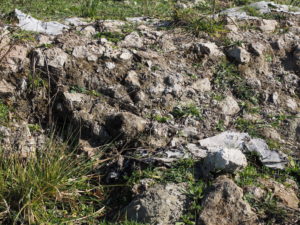 Malagrotta- Roma Municipio XI- Foto 16 febbraio 2017-Scavi Archeologici abbandonati a ridosso della discarica più grande d’Europa.