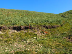 Malagrotta- Roma Municipio XI- Foto 16 febbraio 2017-Scavi Archeologici abbandonati a ridosso della discarica più grande d’Europa.