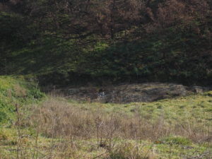 Malagrotta- Roma Municipio XI- Foto 16 febbraio 2017-Scavi Archeologici abbandonati a ridosso della discarica più grande d’Europa.