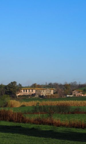 TESTA di LEPRE di SOTTO-CASALE PAMPHILJ