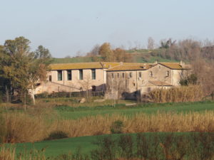 TESTA di LEPRE di SOTTO-CASALE PAMPHILJ