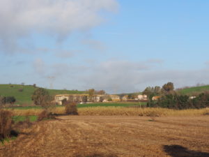 TESTA di LEPRE di SOTTO-CASALE PAMPHILJ