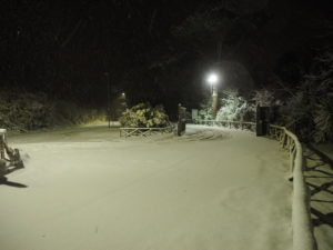Neve a Castel di Guido - Residenza Aurelia 26 febb 2018