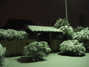 Neve a Castel di Guido - Residenza Aurelia 26 febb 2018