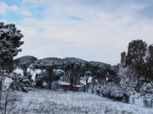 Neve a Castel di Guido - Residenza Aurelia -ore 8:30 del 26 febb 2018