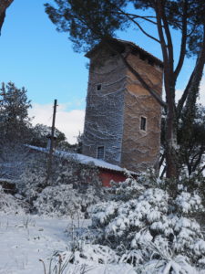 Neve a Castel di Guido - Residenza Aurelia -LA TORRE--ore 8:30 del 26 febb 2018