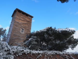 Neve a Castel di Guido - Residenza Aurelia -LA TORRE--ore 8:30 del 26 febb 2018