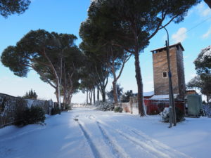 Neve a Castel di Guido - Residenza Aurelia -LA TORRE--ore 8:30 del 26 febb 2018