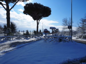 Neve a Castel di Guido - Residenza Aurelia --ore 8:30 del 26 febb 2018