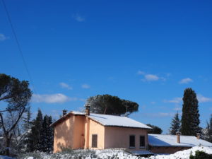 Neve a Castel di Guido - Residenza Aurelia --ore 8:30 del 26 febb 2018