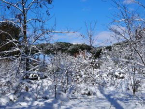 Neve a Castel di Guido - Residenza Aurelia --ore 8:30 del 26 febb 2018