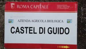 Castel di Guido