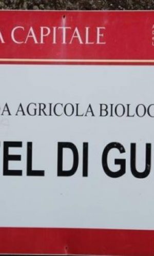 Castel di Guido