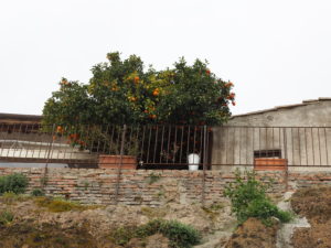 BORGO di TRAGLIATA