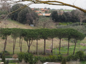 BORGO di TRAGLIATA