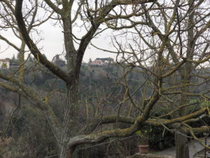 BORGO di TRAGLIATA