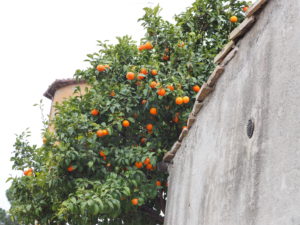 BORGO di TRAGLIATA