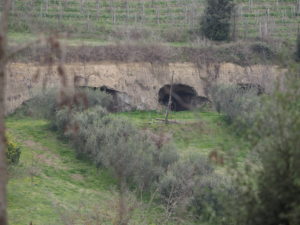 BORGO di TRAGLIATA