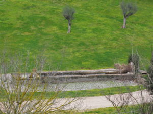 BORGO di TRAGLIATA
