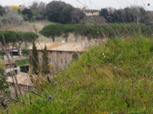 BORGO di TRAGLIATA