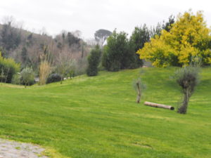 BORGO di TRAGLIATA