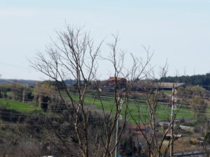 VALLE GALERIA e MALAGROTTA
