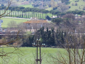 VALLE GALERIA e MALAGROTTA