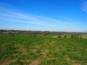 VALLE GALERIA e MALAGROTTA