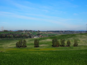 VALLE GALERIA e MALAGROTTA