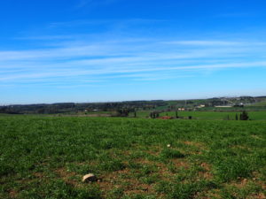 VALLE GALERIA e MALAGROTTA