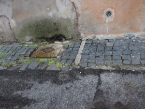 Castel di Guido segni particolari e di riconoscimento.