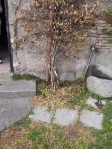 Castel di Guido segni particolari e di riconoscimento.