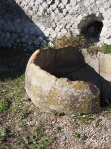 Castel di Guido segni particolari e di riconoscimento.