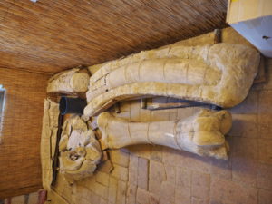 Castel di Guido segni particolari e di riconoscimento.